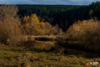 Осень на реке Турья