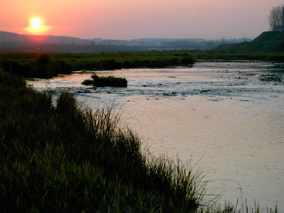 Река Турья на закате