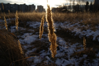 Осень в г. Краснотурьинск (Фото 8)